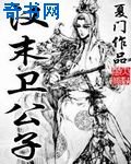 汉末卫公子