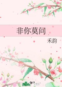 非你莫問